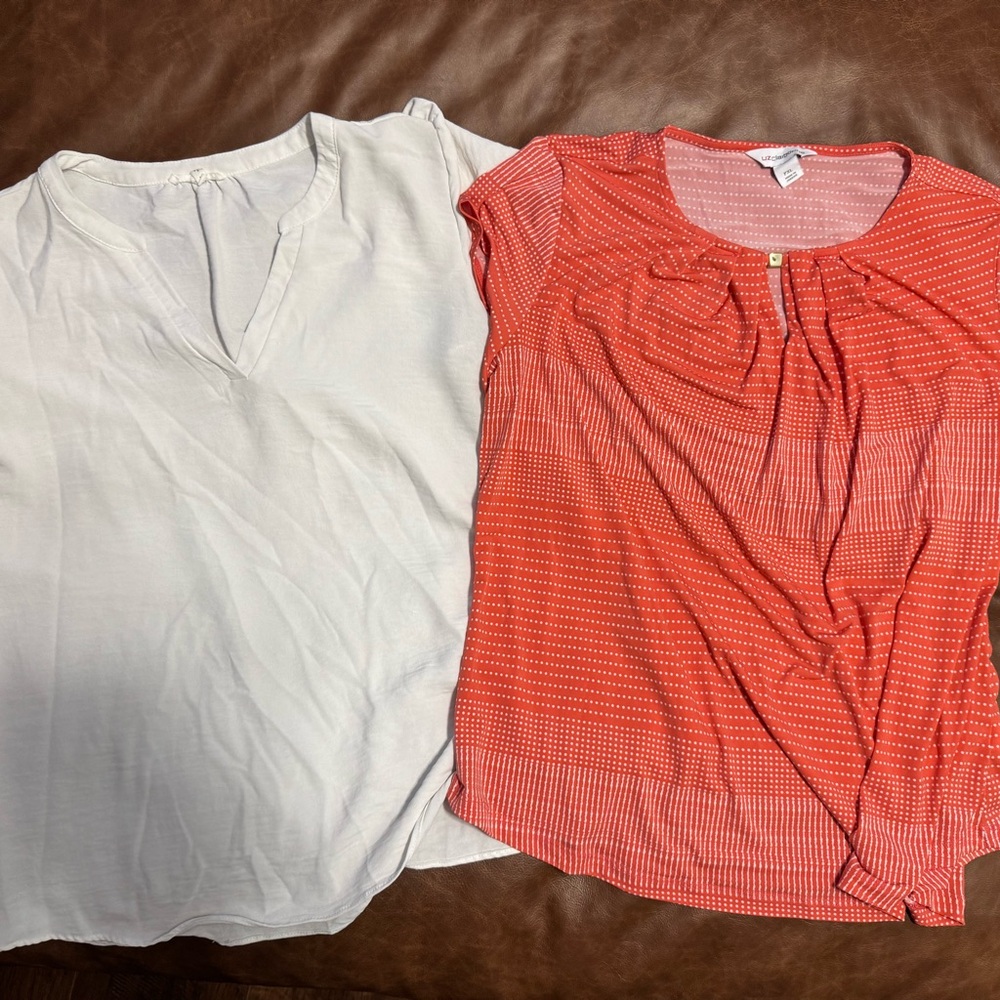 Dressy Shirt Bundle